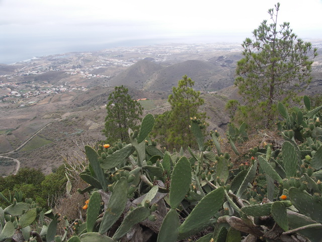 2010 14 Gran Canaria 274