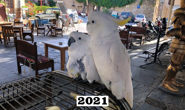 2021b.jpg