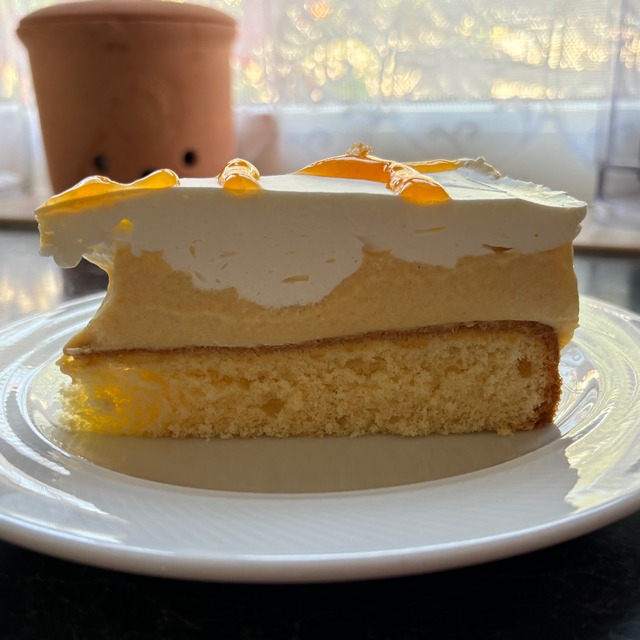 Aprikosen Mousse Torte 002