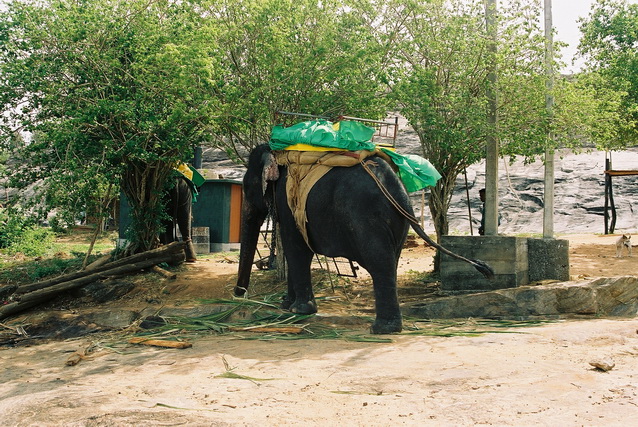 2002 15 Sri Lanka 103