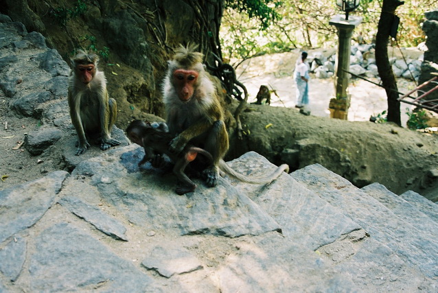 2002 15 Sri Lanka 130