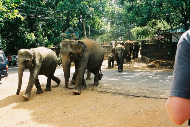2002 15 Sri Lanka 161