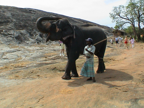 2002 15 Sri Lanka 237