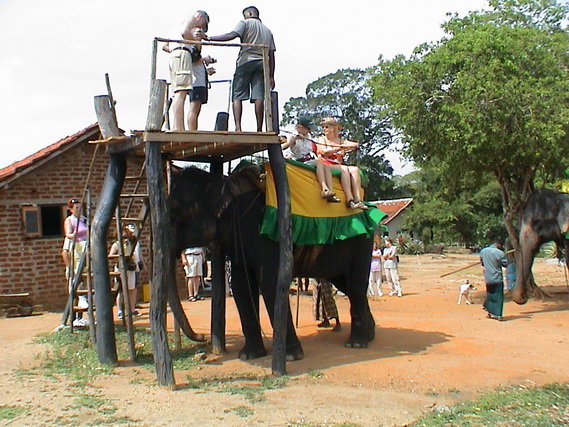 2002 15 Sri Lanka 241