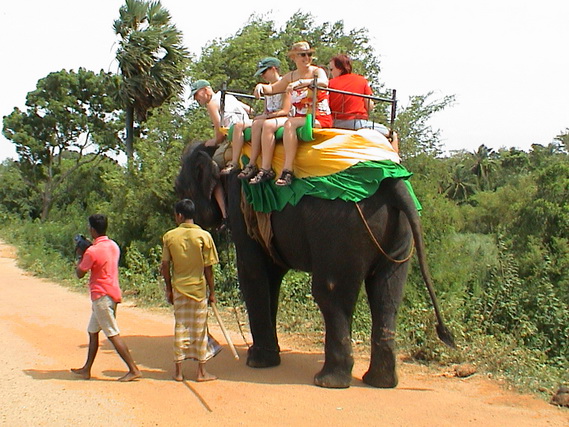 2002 15 Sri Lanka 243