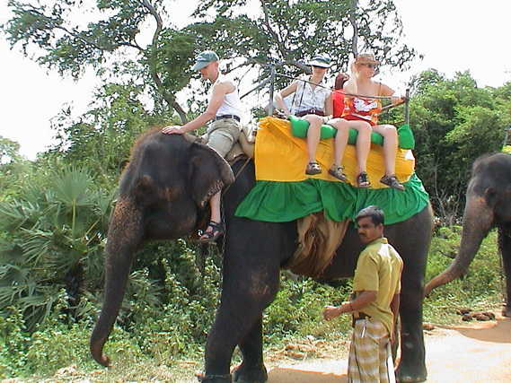 2002 15 Sri Lanka 244
