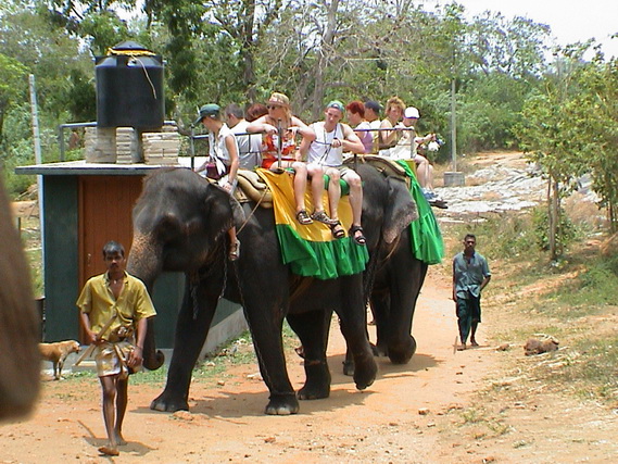 2002 15 Sri Lanka 246