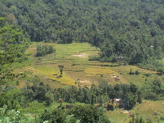 2002 15 Sri Lanka 340