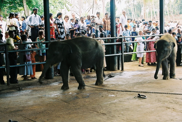2002 15 Sri Lanka 152