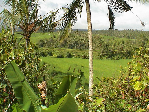 2007 08 Bali 076