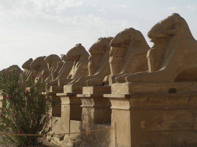 2009 04 Aegypten 246