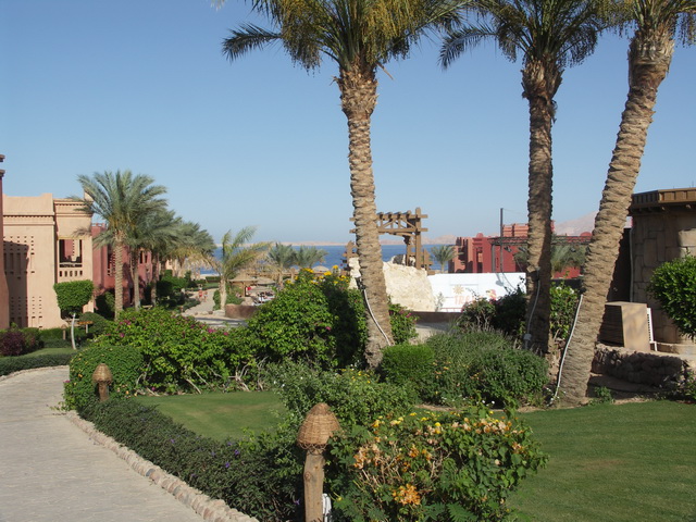 2010 09 Sharm el Shaik 130