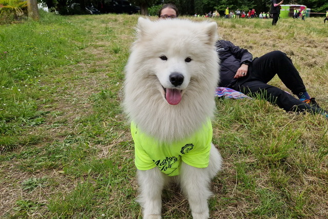 2024 04 27 San Pietro 050