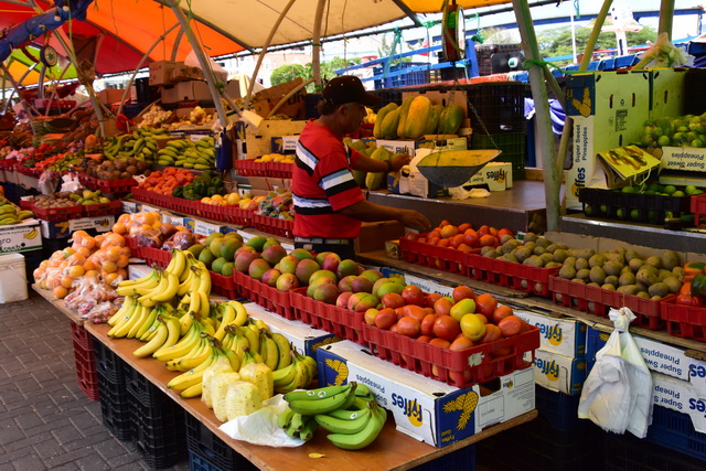 2025 04 01 Curacao Willemstaa 050