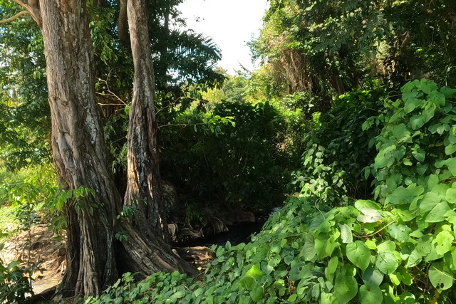 2025 04 01 Curacao Willemstaa 069