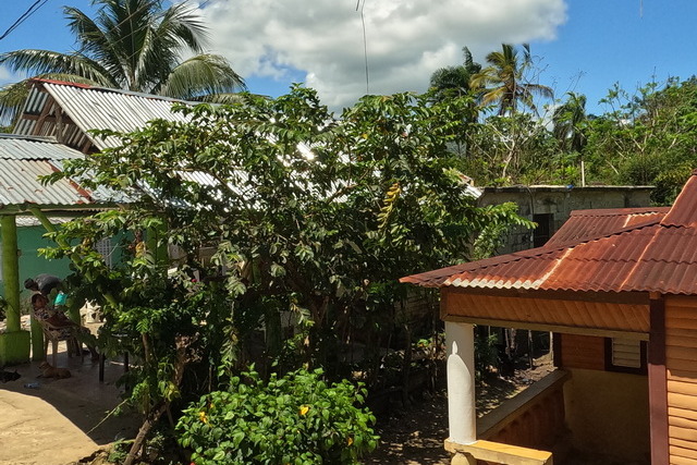 2025 04 01 Curacao Willemstaa 073