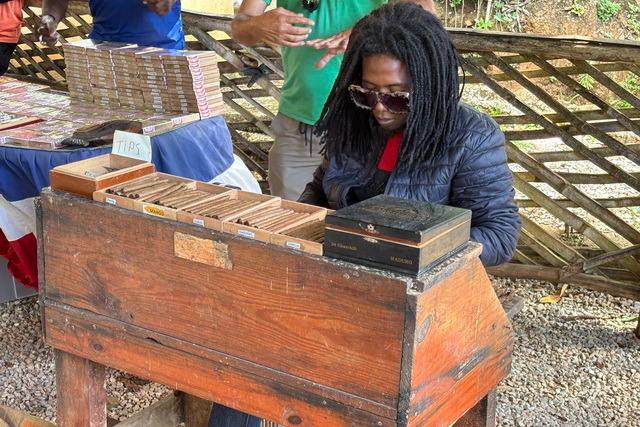 2025 04 06 DomRep Samana 006