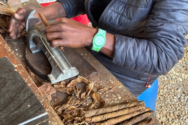 2025 04 06 DomRep Samana 007