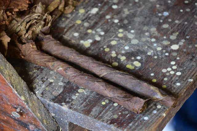 2025 04 06 DomRep Samana 011