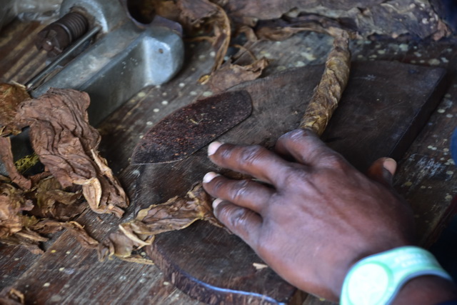 2025 04 06 DomRep Samana 011