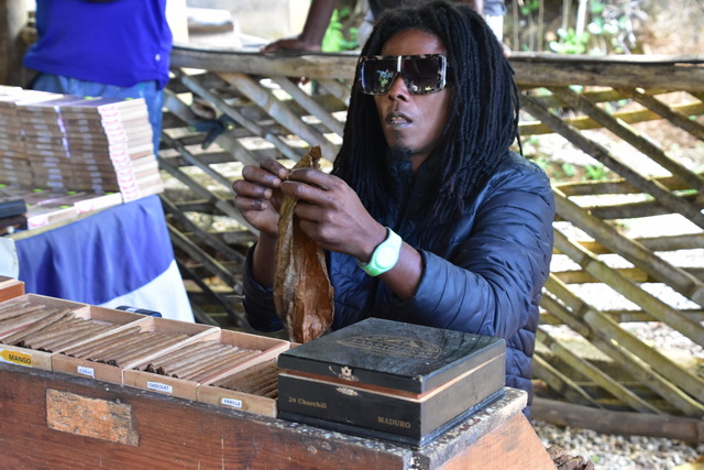 2025 04 06 DomRep Samana 019