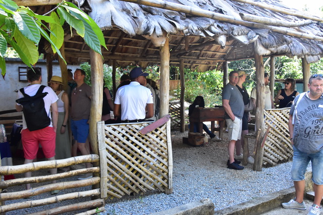 2025 04 06 DomRep Samana 020