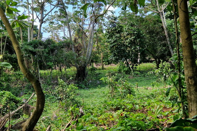 2025 04 06 DomRep Samana 030