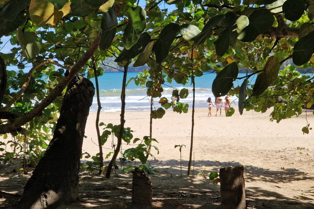 2025 04 06 DomRep Samana 042