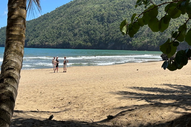 2025 04 06 DomRep Samana 128