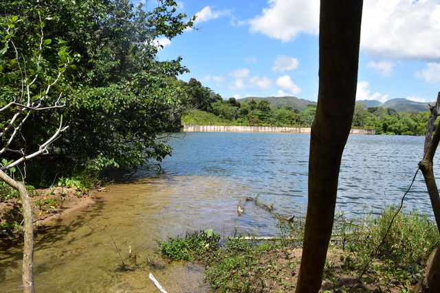 2025 04 06 DomRep Samana 168