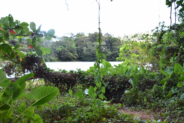 2025 04 06 DomRep Samana 170