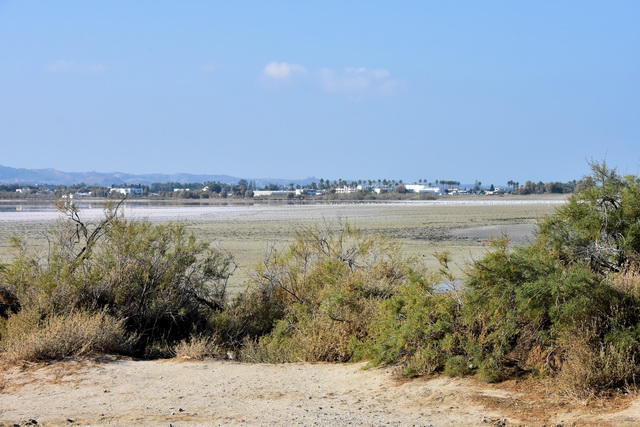 2025 04 01   Curacao   Willemstaa 012