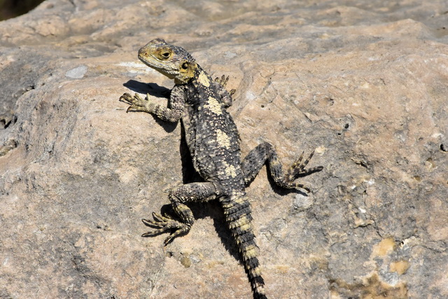 2025 10 12 Hotel Sandy Beach Kos 070