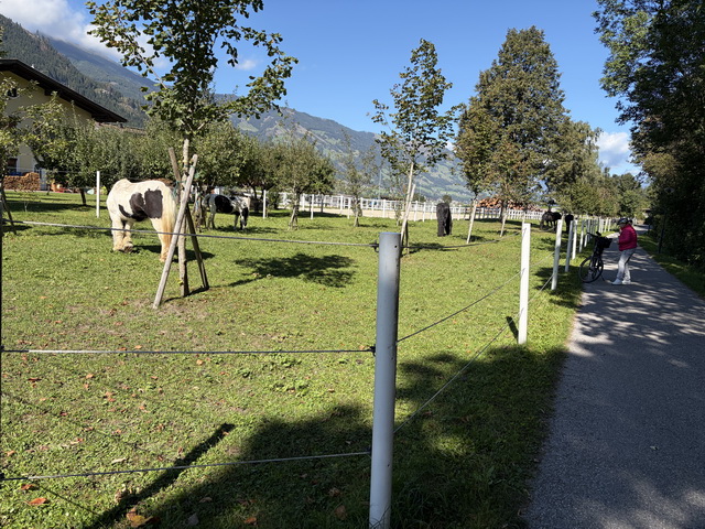 2026 09 20   Hotel Edelweis   Fugen   Zillertal 059