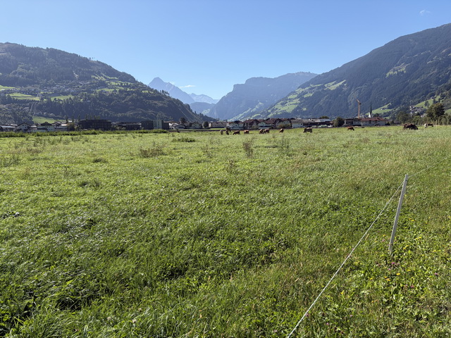 2026 09 20 Hotel Edelweis Fügen Zillertal 061