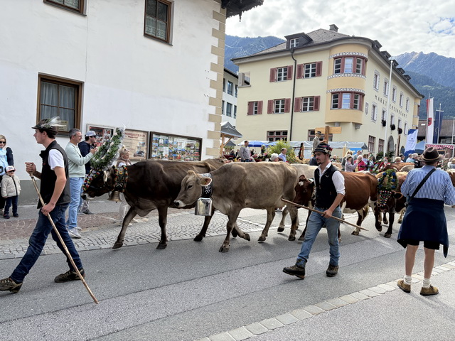 2026 09 20 Hotel Edelweis Fügen Zillertal 175