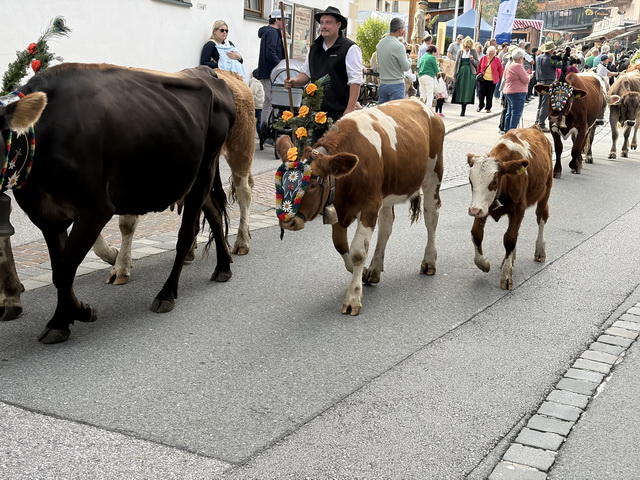 2026 09 20 Hotel Edelweis Fügen Zillertal 180